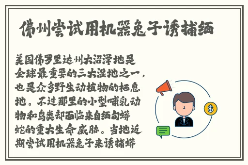 实况360监控拍小两口